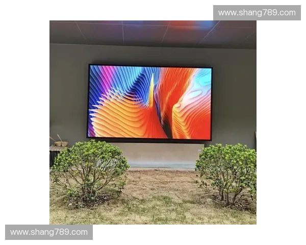 COB封装工艺屏体更换：同步高保真商业素材与比赛实况细节。